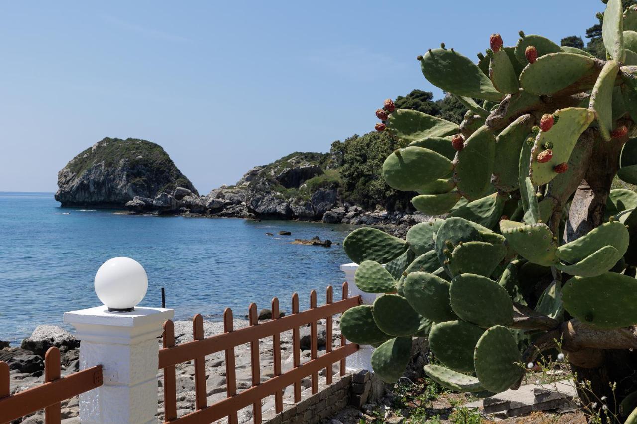 Villa Renata & Villa Filippos With Private Plunge Pool By Konnect Агиос Гордиос Екстериор снимка